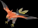Talonflame artwork