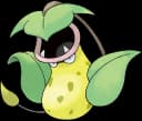 Victreebel artwork