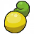 Shuca Berry