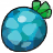 Yache Berry